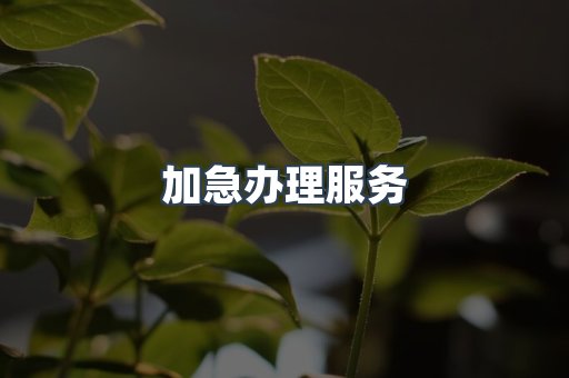 加急办理服务