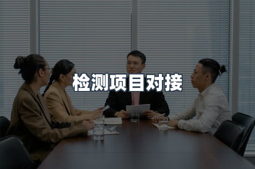 检测项目对接